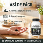 semilla negra Ethiopian  60 softgels